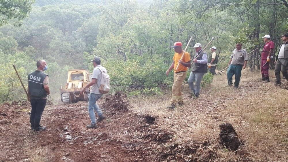 Ülke genelindeki 6 orman yangını kontrol altında