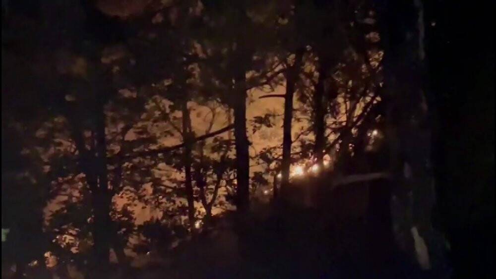 Yıldırım düşen ormanlık alanda yangın çıktı