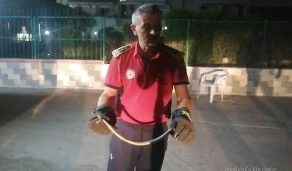 Eve giren yılan itfaiye ekiplerince yakalandı
