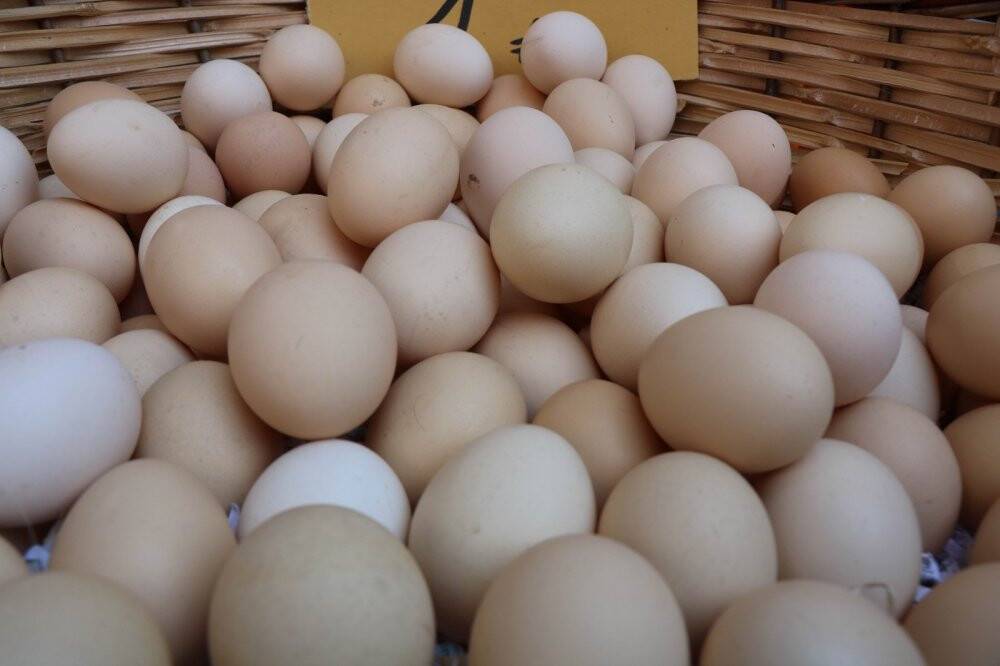 Mangal yasağı tavuk fiyatlarını düşürdü