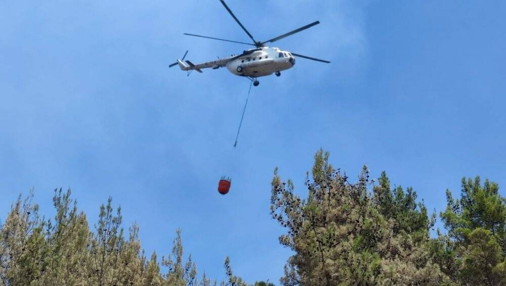 Antalya’da çıkan orman yangını kısa sürede söndürüldü