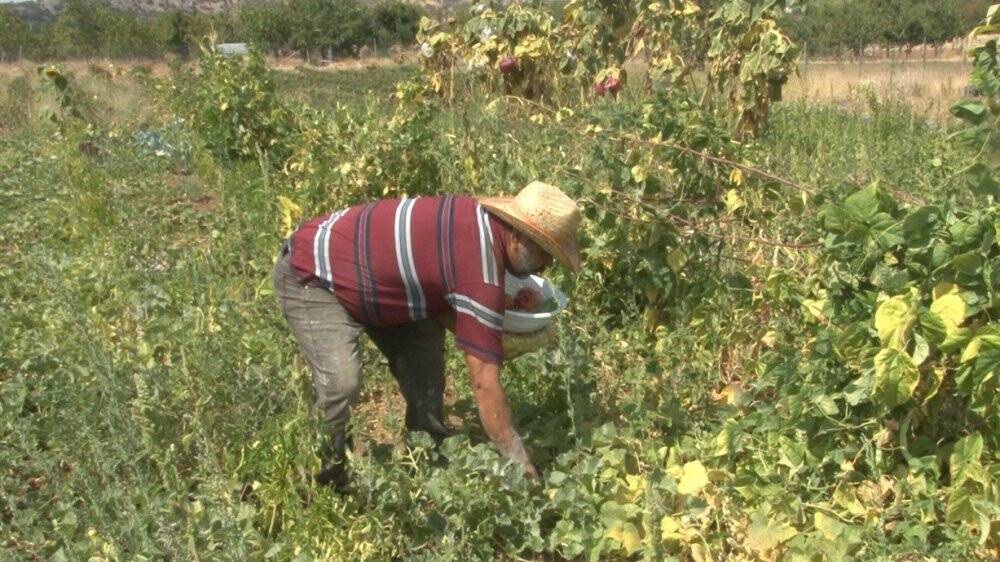40 yıl gelmediği köyüne evini ve bahçesini kurarak geri dönüş yaptı