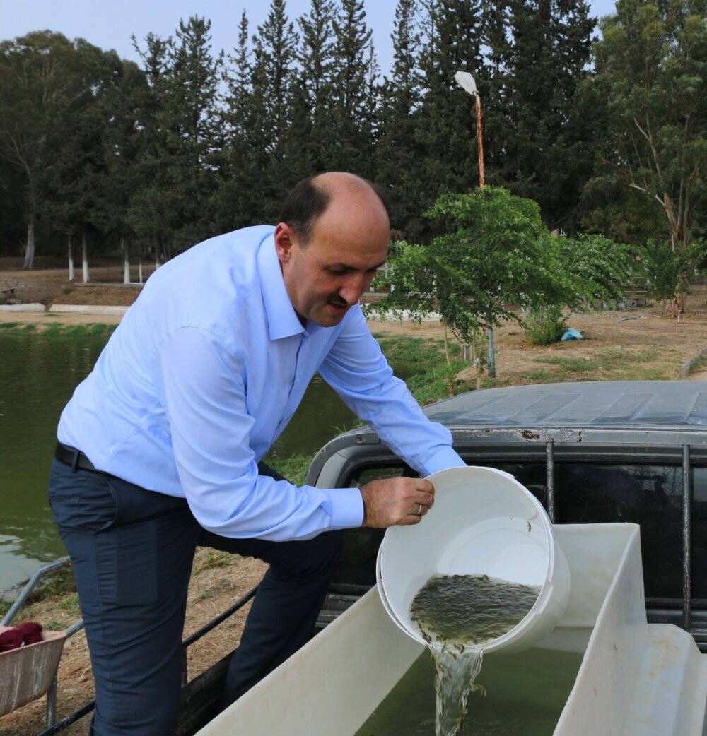 Göl ve göletlere 2 milyon adet yavru balık