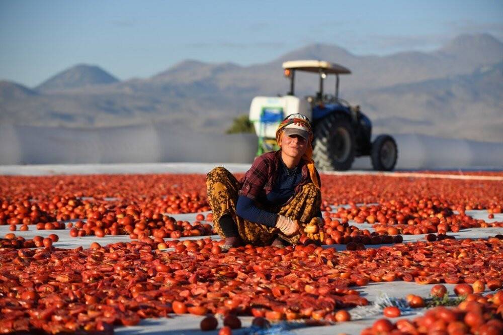 Erciyes’in etekleri kırmızıya boyandı
