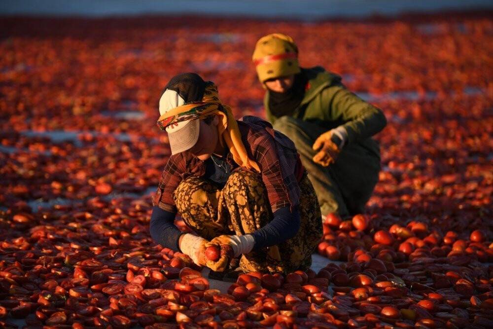 Erciyes’in etekleri kırmızıya boyandı