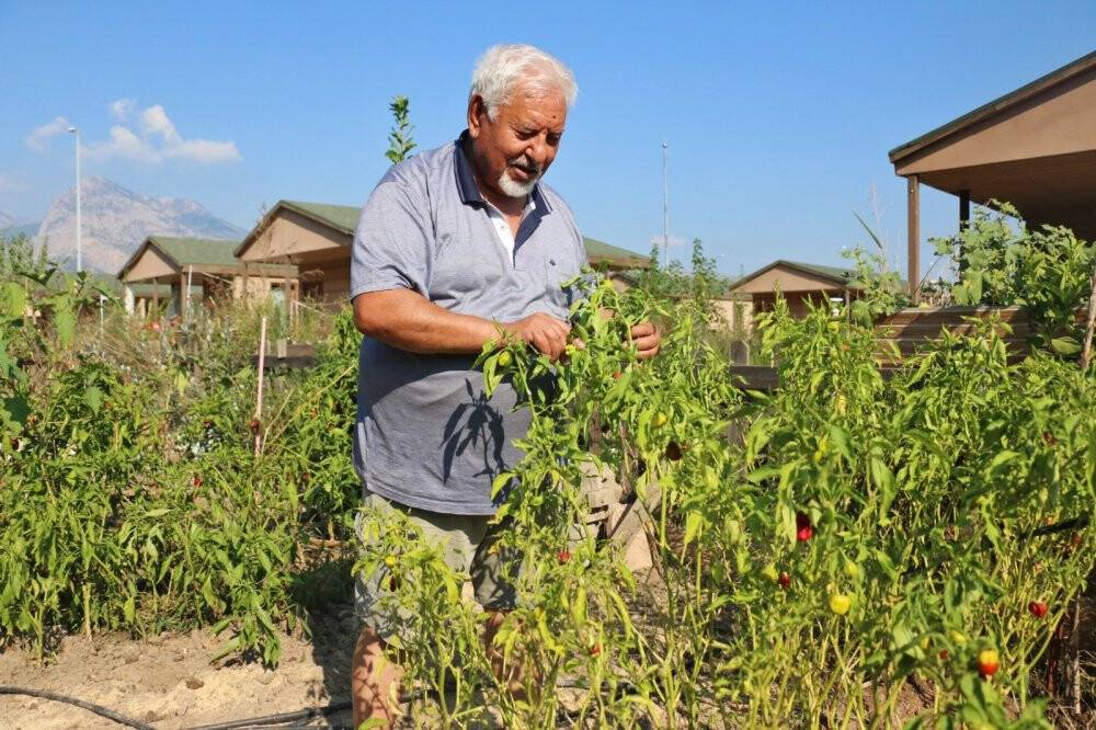 Hobi Bahçeleri için başvurular başladı
