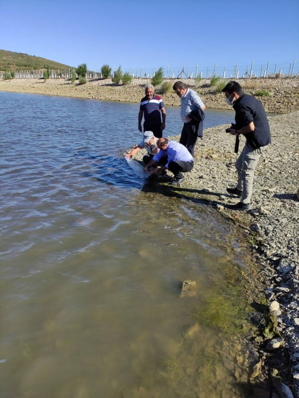 Konya’da göletler balıklandırıldı