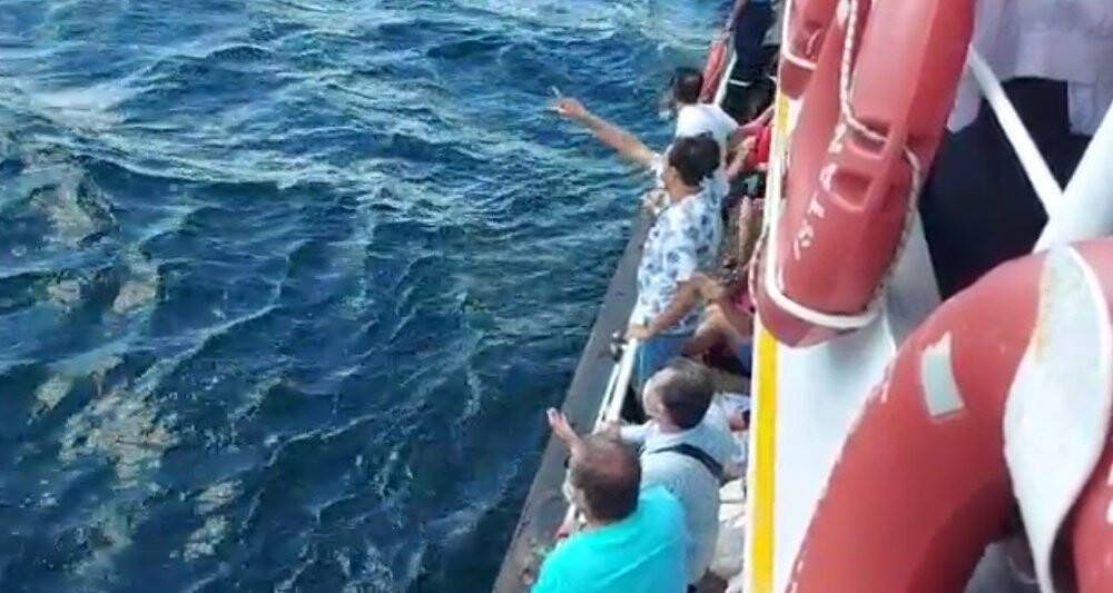 Marmara Denizi’nde can pazarı: Vapurdan düşen adam hayatını kaybetti