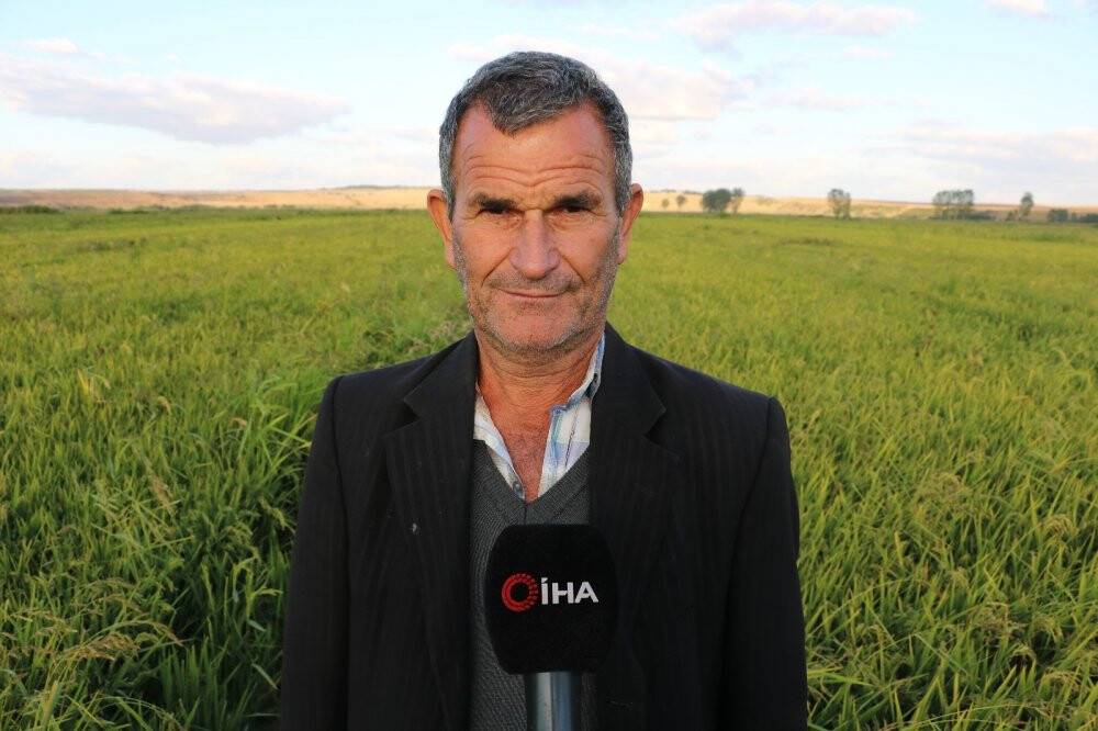 Cumhurbaşkanı açıkladı, çeltik üreticilerinin yüzü güldü