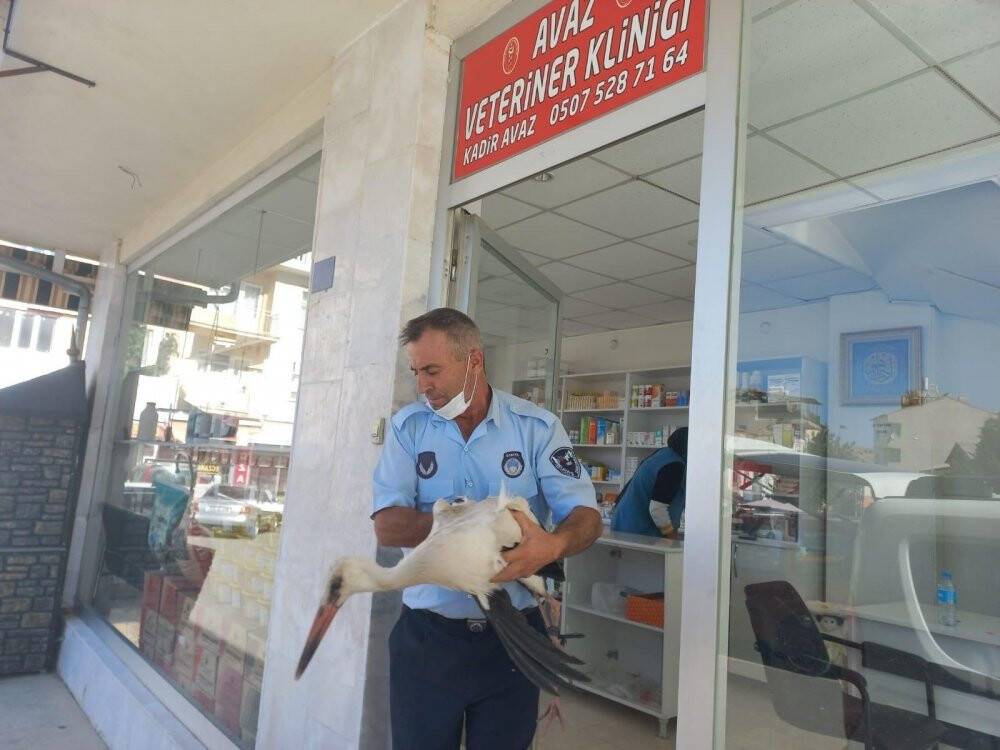 Konya’da yaralı bulunan leylek tedavi altına alındı