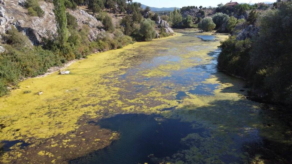 Konya’daki Adaköy Pınarı ve baraj göleti kurumaya yüz tuttu