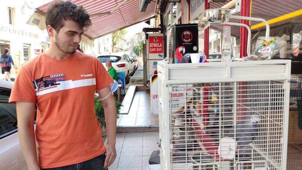 Şakacı papağan sokaktan geçeni kandırıyor