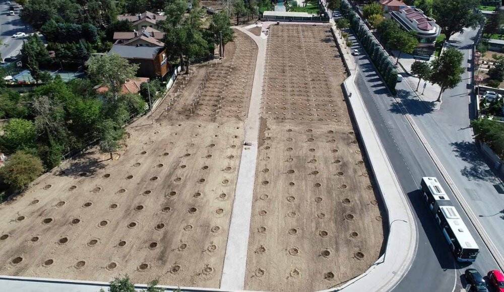 Meram bağları yeniden hayat buluyor