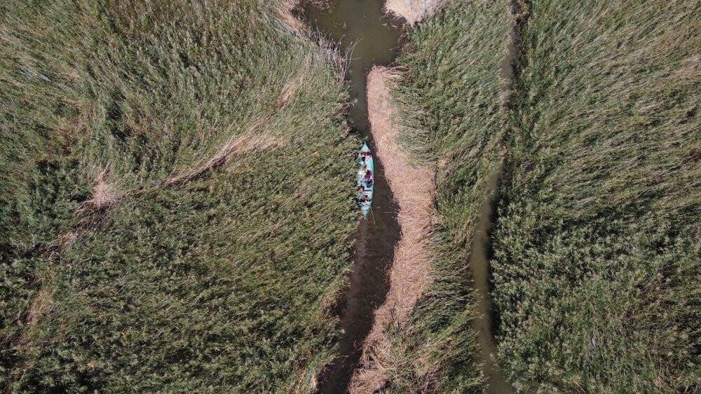 Beyşehir Gölü Milli Parkı’ndaki nilüfer bahçesine yoğun ilgi