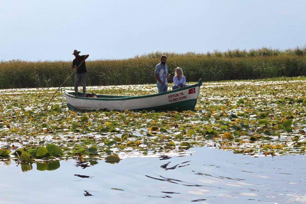 Beyşehir Gölü Milli Parkı’ndaki nilüfer bahçesine yoğun ilgi