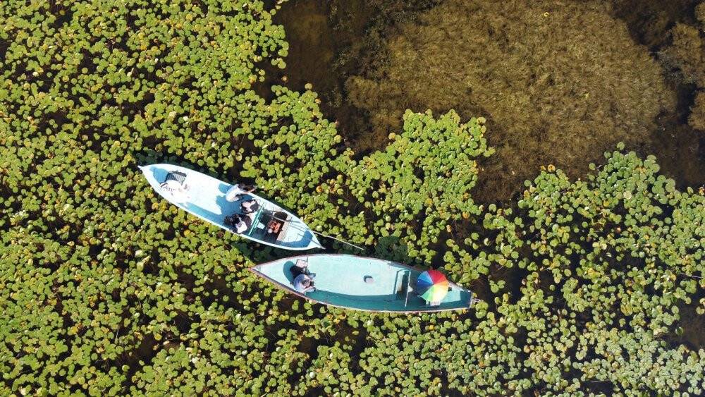 Beyşehir Gölü Milli Parkı’ndaki nilüfer bahçesine yoğun ilgi