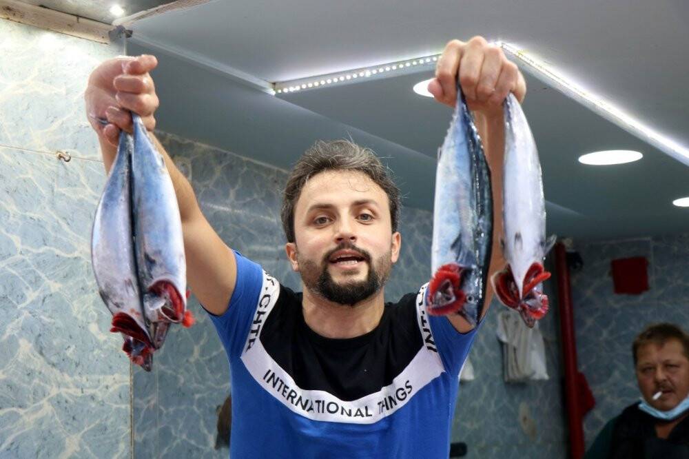 Karadeniz’in nazlı balığı palamuttan iyi haber