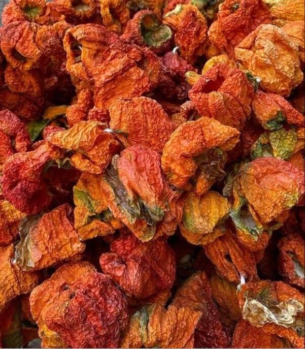 Yılın son kurutmalıkları yapıldı