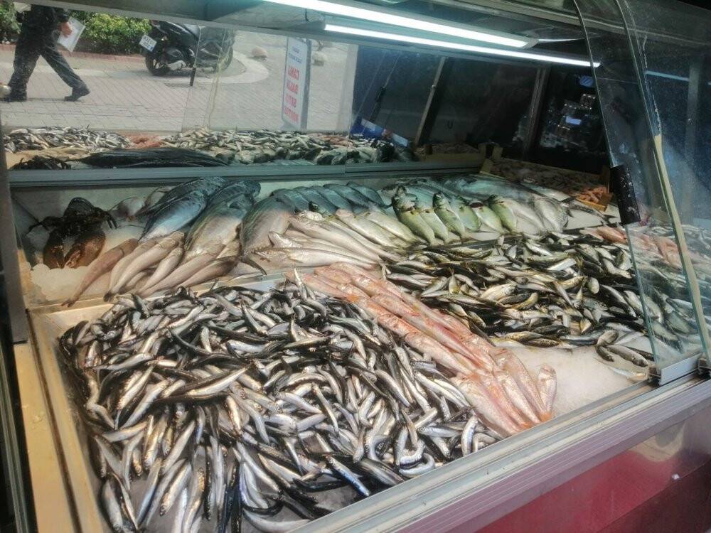 Balık tezgahları şenlendi