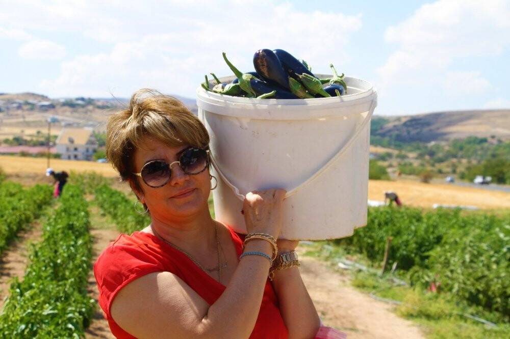 Marketlerdeki fahiş fiyata kızdı, tarlasını vatandaşlara açtı