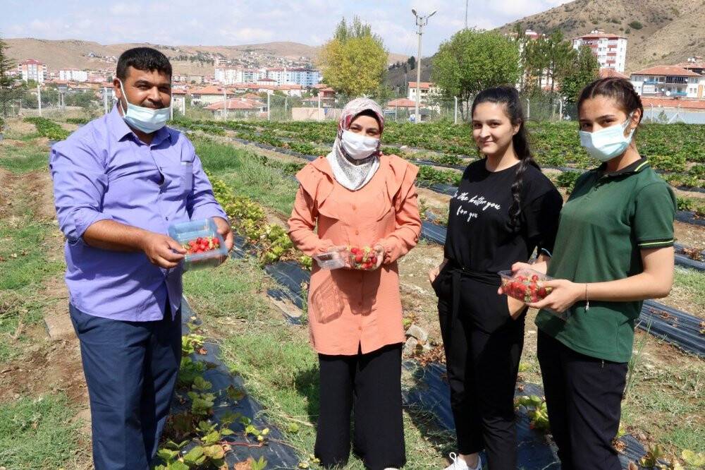 İhtiyaç sahibi ailelere çilekli destek