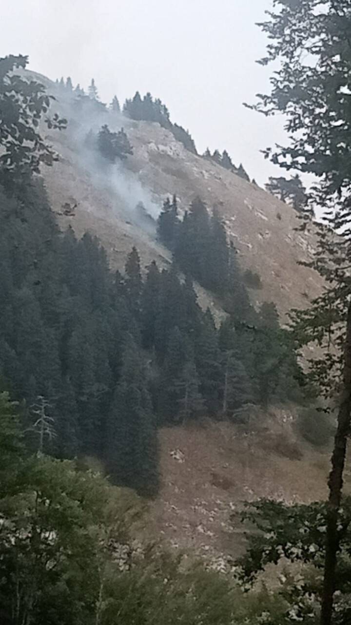 Bursa’da korkutan orman yangını