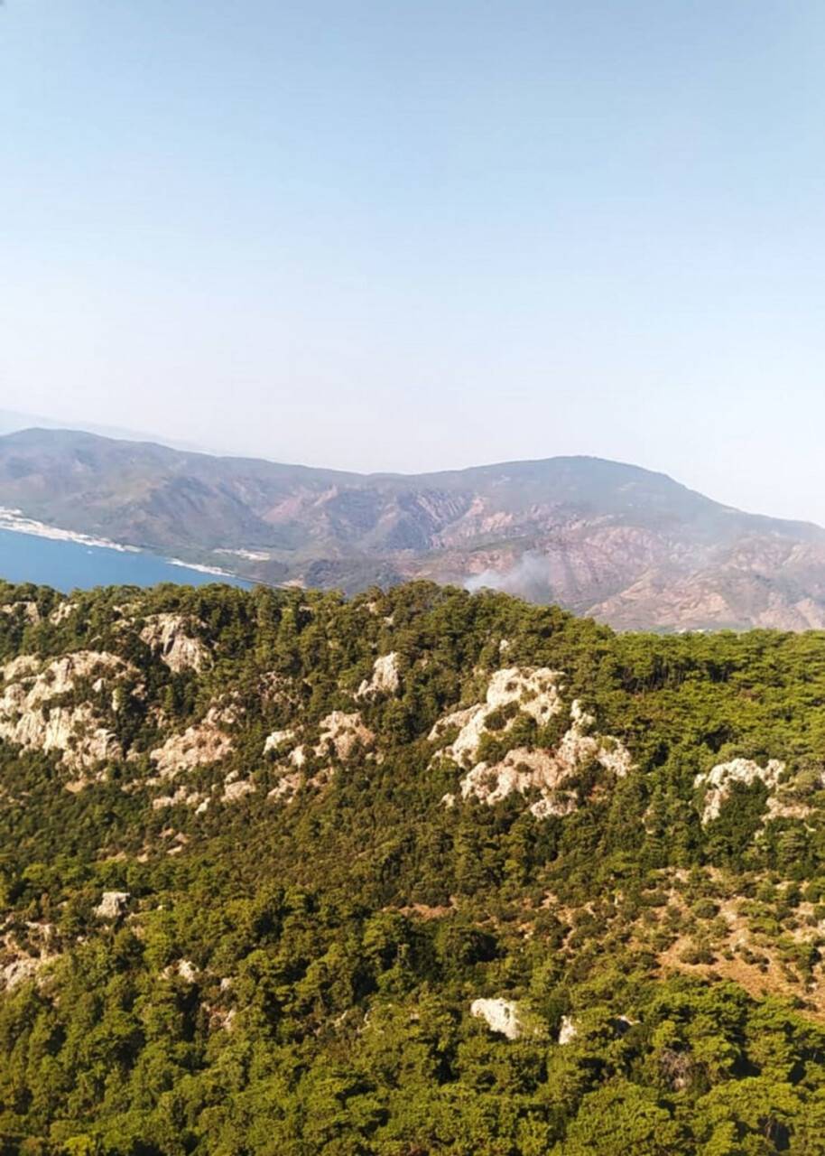 Marmaris’te orman yangını