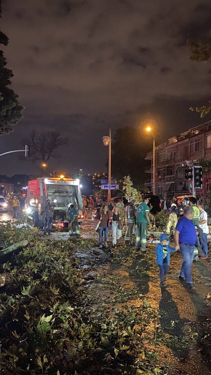 Şiddetli yağış ve rüzgar nedeniyle ağaçlar yola devrildi