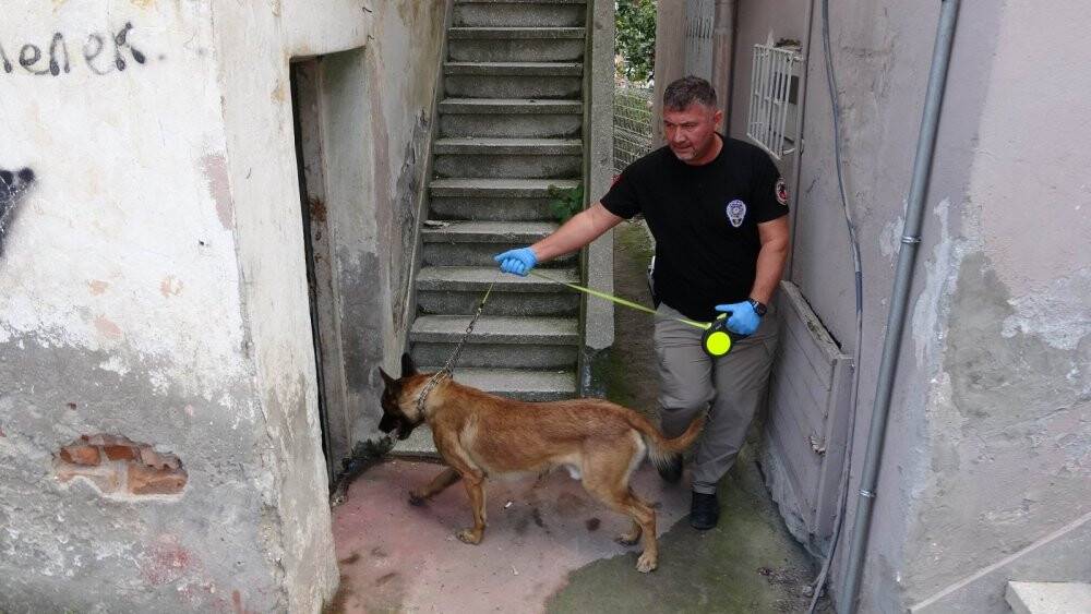 Narkotik köpeği metruk binadaki uyuşturucuyu böyle buldu