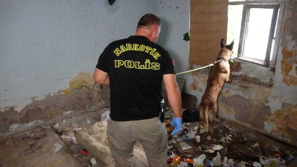 Narkotik köpeği metruk binadaki uyuşturucuyu böyle buldu