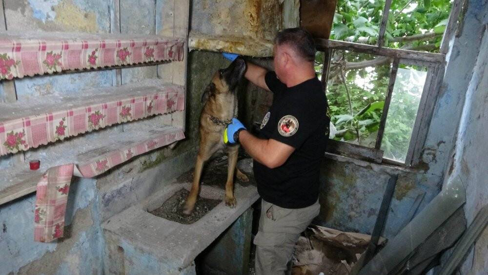 Narkotik köpeği metruk binadaki uyuşturucuyu böyle buldu
