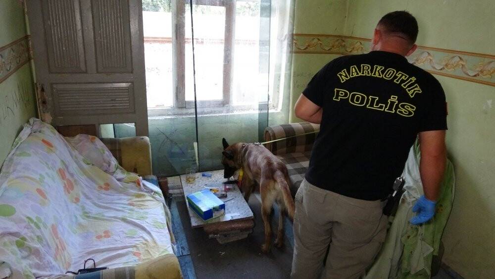 Narkotik köpeği metruk binadaki uyuşturucuyu böyle buldu