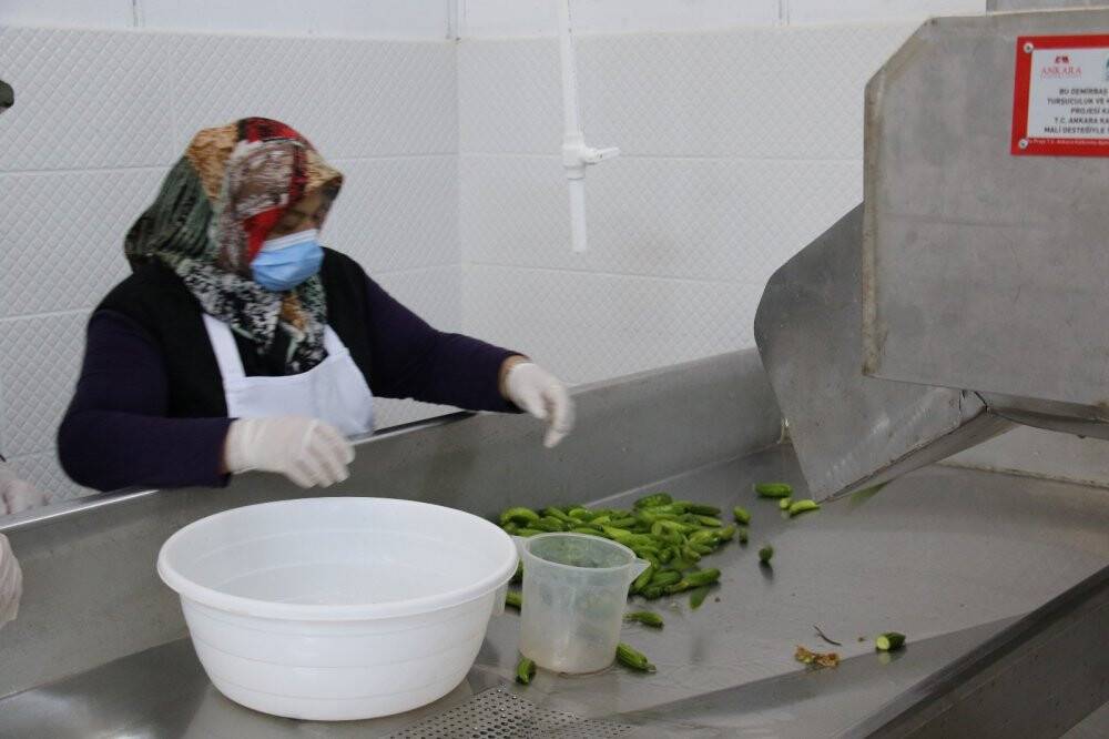 Çubuk Turşuları 22 ülkeye ihraç ediliyor