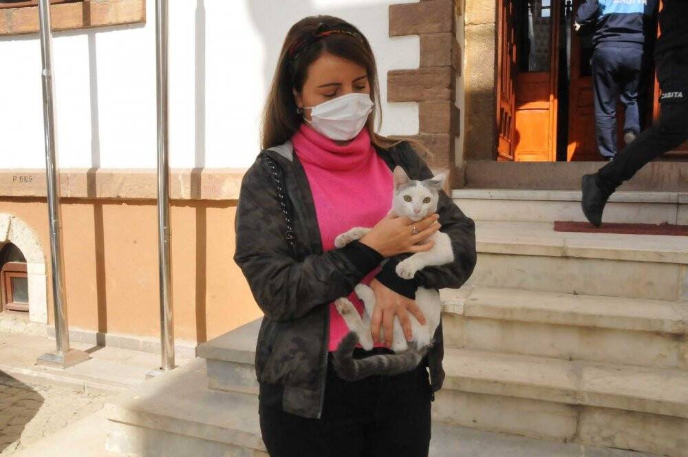 Köpeğin kovaladığı kediyi ağaçtan indirip sahibine teslim etti