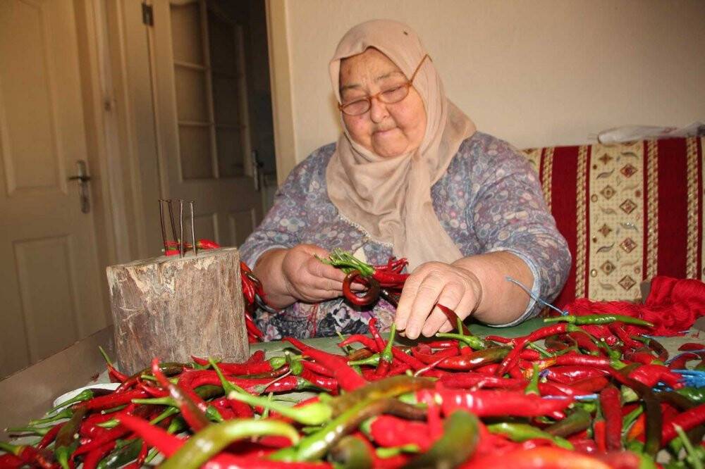 152 yıldır aynı tohumdan acı kırmızı biber üretip kurutuyorlar