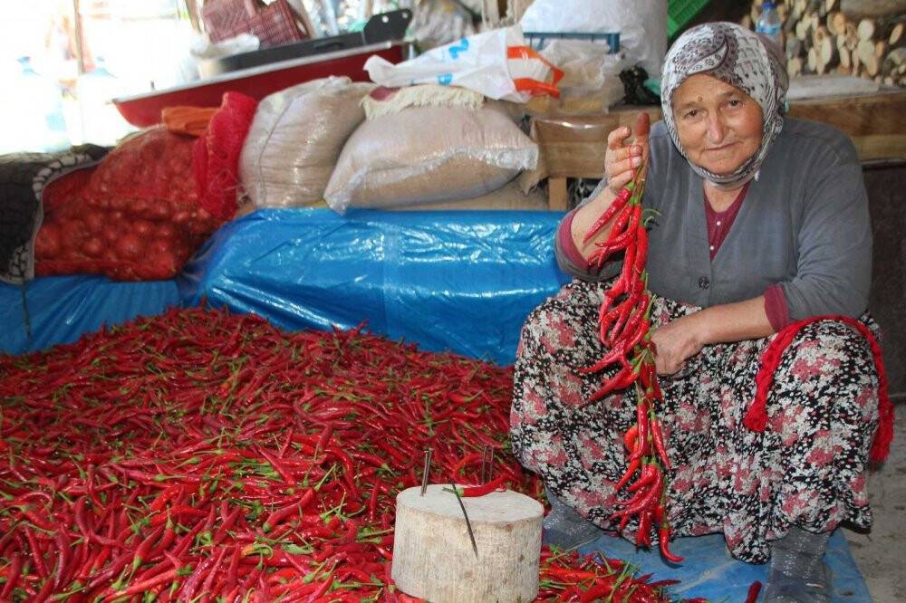 152 yıldır aynı tohumdan acı kırmızı biber üretip kurutuyorlar