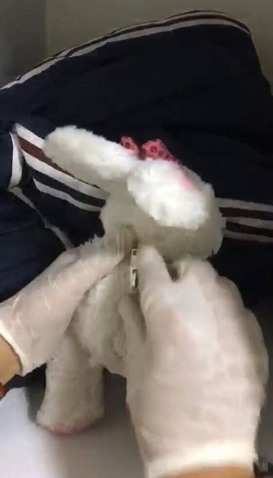 Oyuncak içerisinden uyuşturucu çıktı