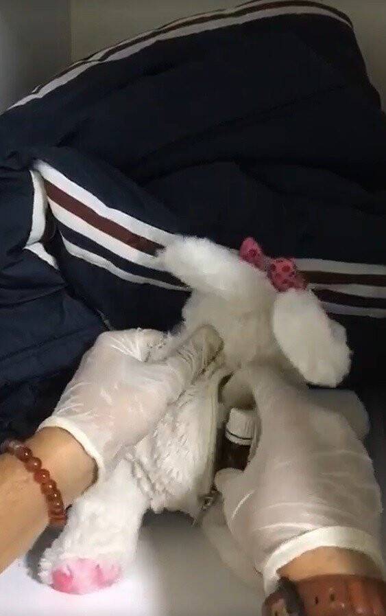 Oyuncak içerisinden uyuşturucu çıktı