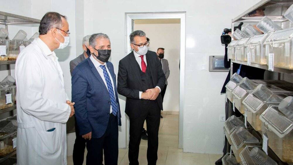 Rektör Aksoy: Üniversite olarak YÖK Anadolu Projesini oldukça önemsiyoruz