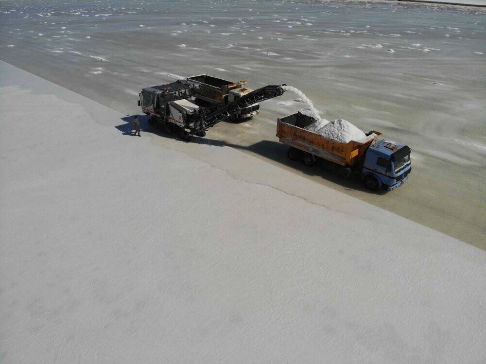 Tuz Gölü’nde hasat devam ediyor