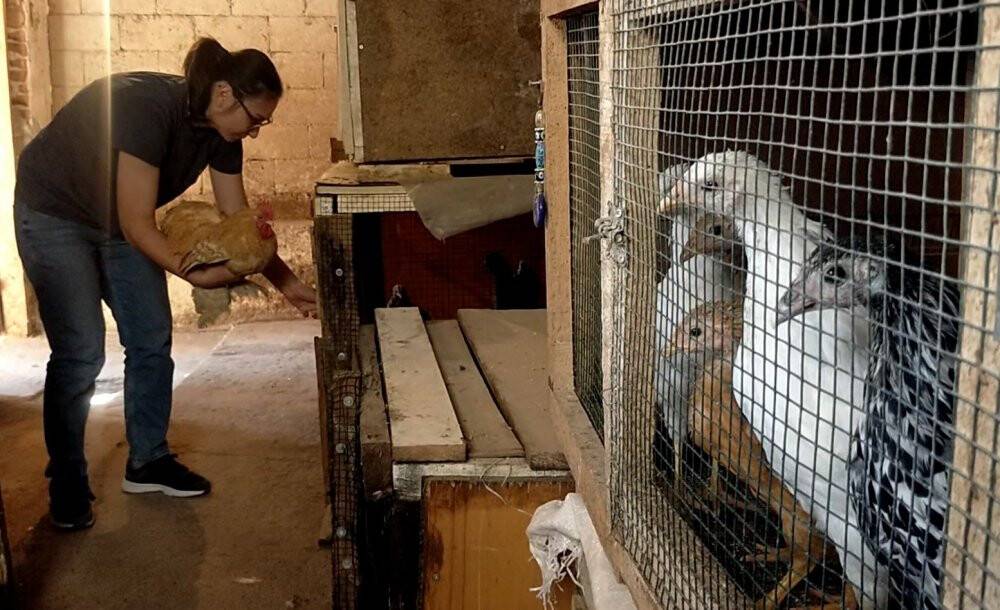 Üniversiteli, hobisini ticarete dönüştürdü taleplere yetişemiyor