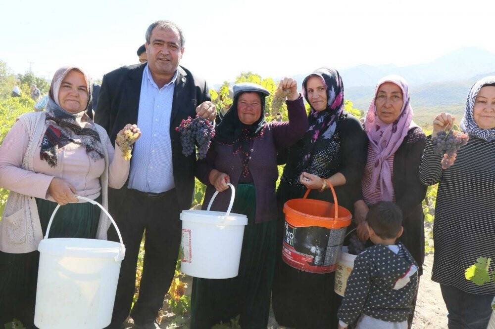 Aksaray’da festivalle bozulan bağlardaki üzümler pekmeze dönüştü