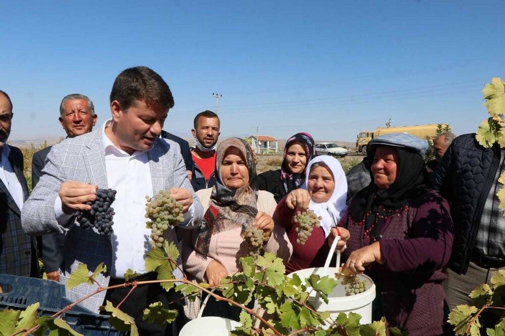 Aksaray’da festivalle bozulan bağlardaki üzümler pekmeze dönüştü