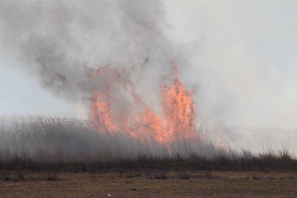 Beyşehir Gölü Milli Parkı kıyısındaki sazlıklar alev alev