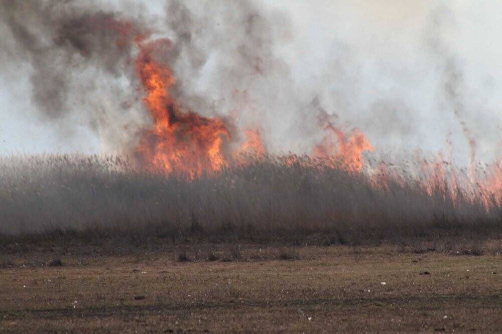 Beyşehir Gölü Milli Parkı kıyısındaki sazlıklar alev alev