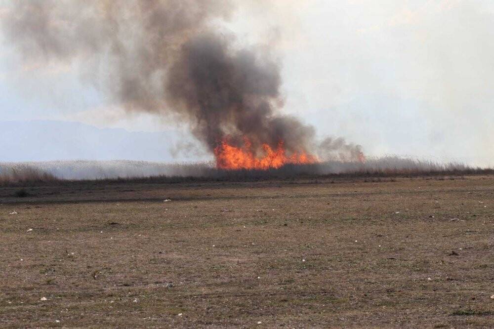Beyşehir Gölü Milli Parkı kıyısındaki sazlıklar alev alev