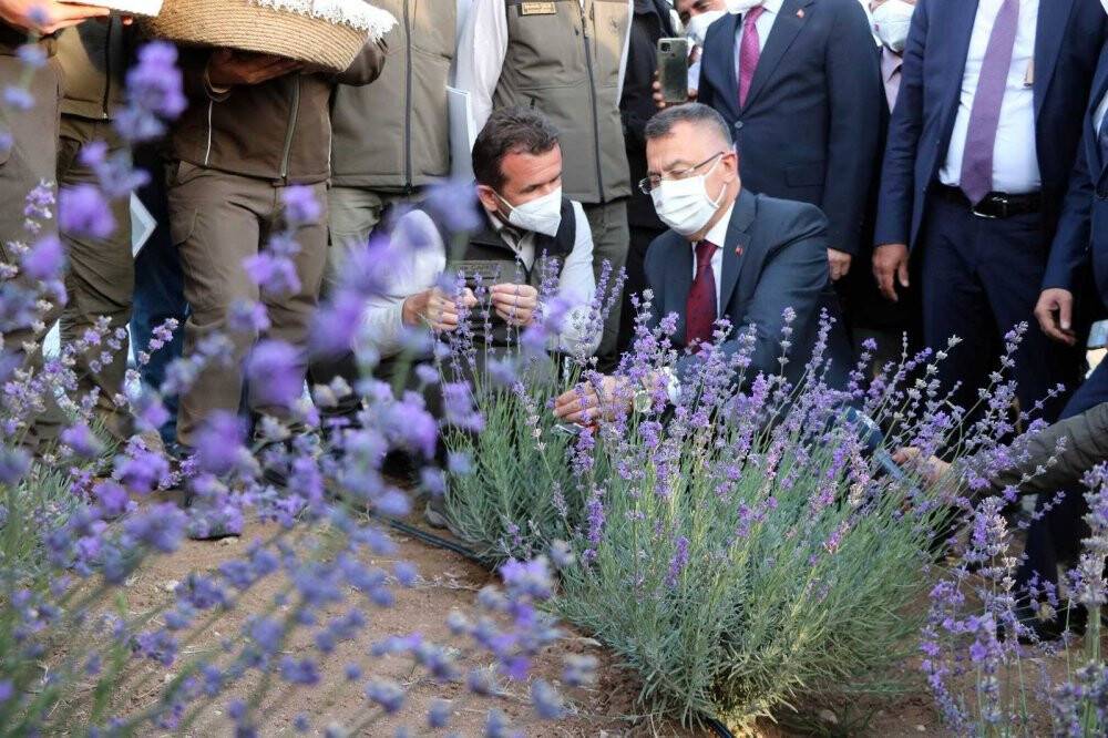 Cumhurbaşkanı Yardımcısı Oktay: Bölgesinde söz söyleyen, sözü dinlenen, masa ve sahada olan bir Türkiye var