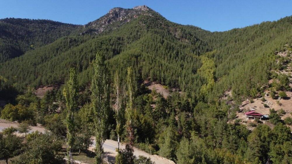 Toroslar’da sonbahar manzaraları görsel şölen oluşturuyor