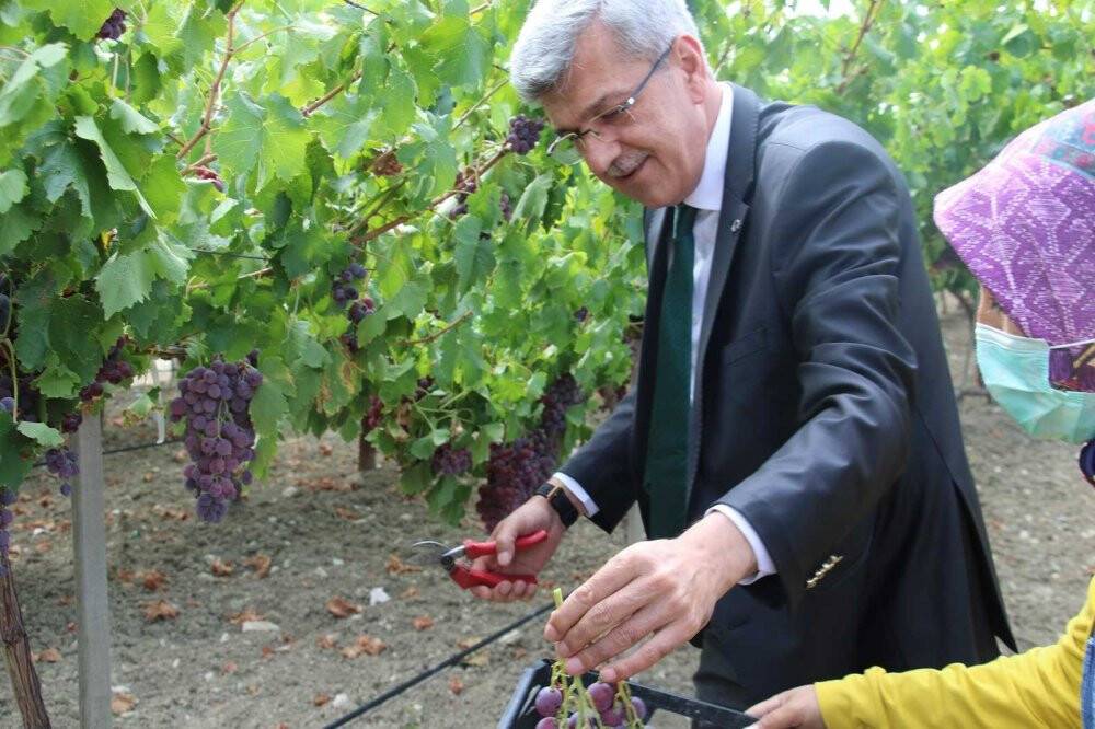 5 yıl önce teşvik için oluşturuldu, şimdi tüm ilçeye yetecek kadar meyve üretiliyor