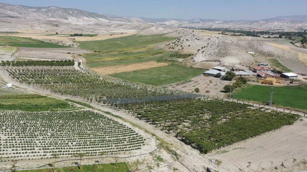 5 yıl önce teşvik için oluşturuldu, şimdi tüm ilçeye yetecek kadar meyve üretiliyor